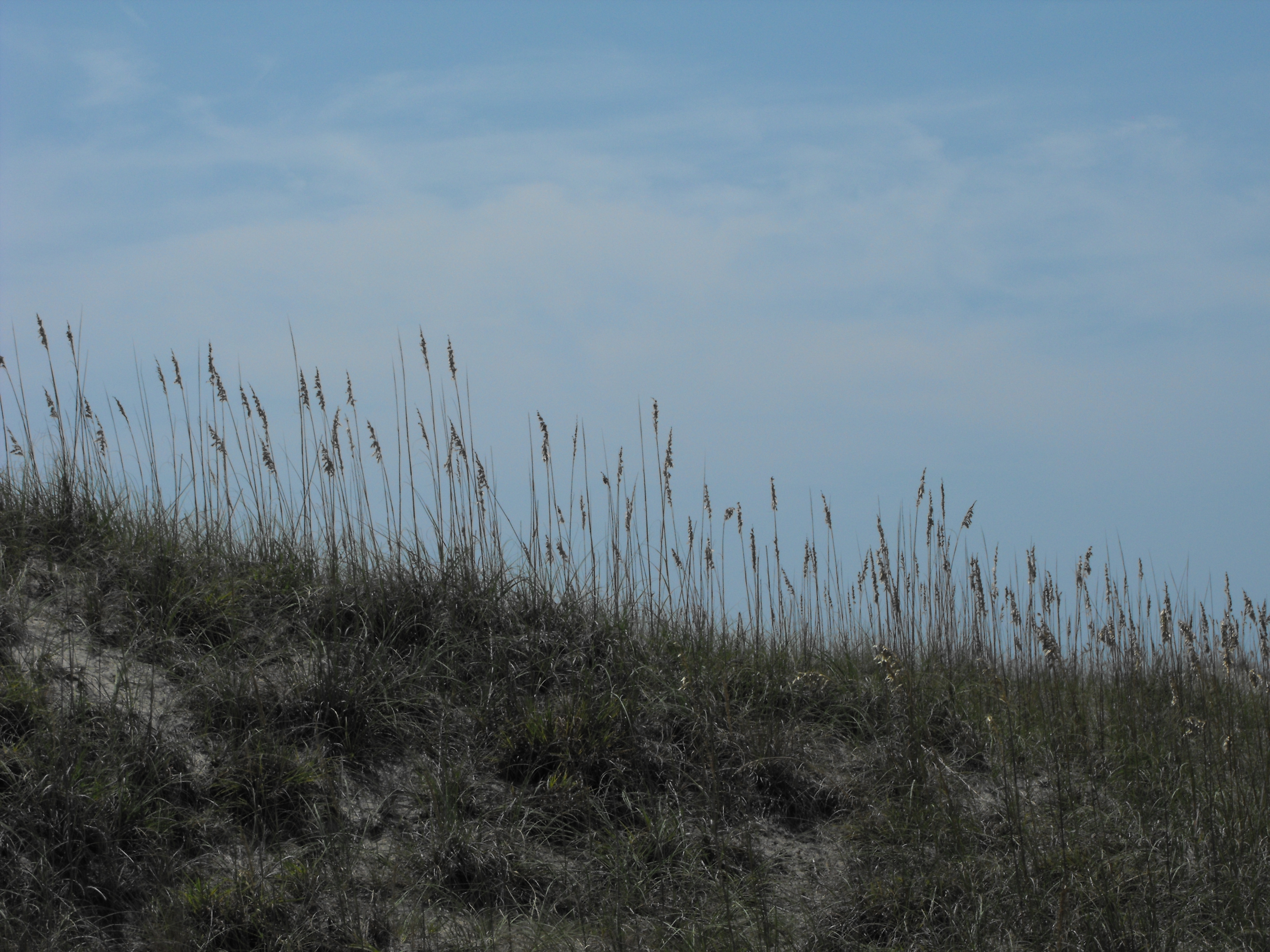 ./2011/Bear Island/Bear Island 0003.JPG